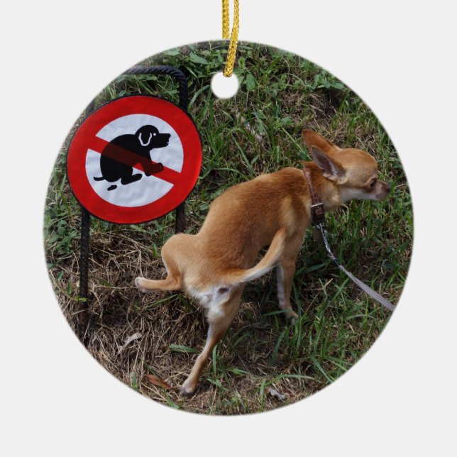 Ignoranz ist Bliss Keramik Ornament (Vorne)