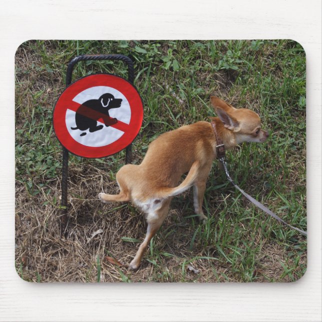 Ignoranz ist Bliss Mousepad (Vorne)