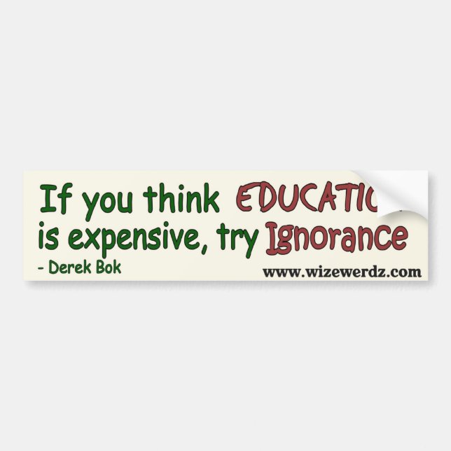 Ignoranzaufkleber - Licht Autoaufkleber (Vorne)