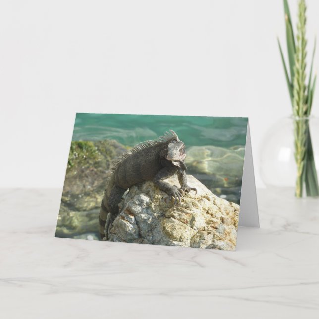Iguana auf den Felsen bei St. Thomas Karte (Vorderseite)