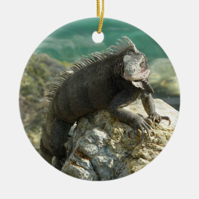 Iguana auf den Felsen bei St. Thomas Keramikornament (Vorne)