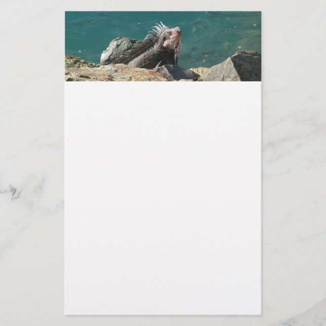 Iguana bei St. Thomas Briefpapier (Vorderseite)