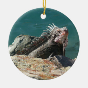 Iguana bei St. Thomas Keramik Ornament