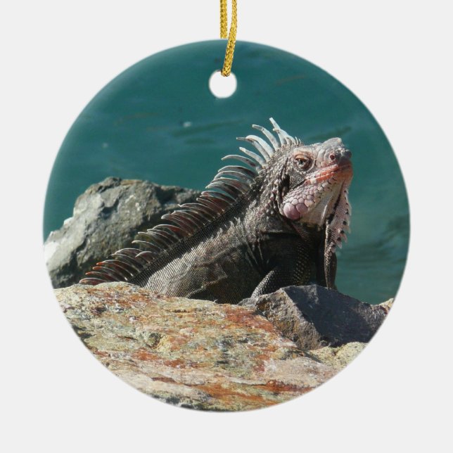 Iguana bei St. Thomas Keramik Ornament (Vorne)