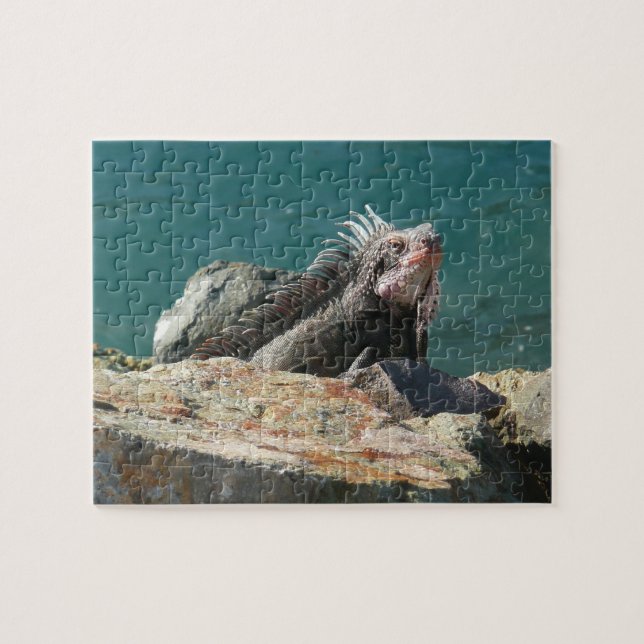 Iguana bei St. Thomas Puzzle (Horizontal)