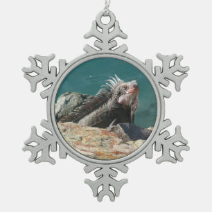 Iguana bei St. Thomas Schneeflocken Zinn-Ornament