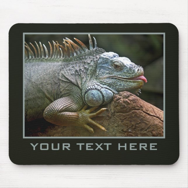 Iguana Custom Mousepad (Vorne)