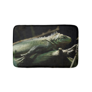 Iguana delicatissima badematte