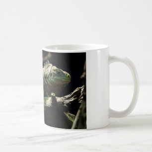 Iguana delicatissima tasse