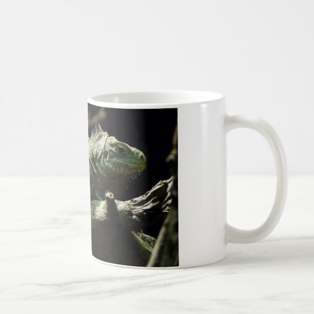 Iguana delicatissima tasse (Rechts)