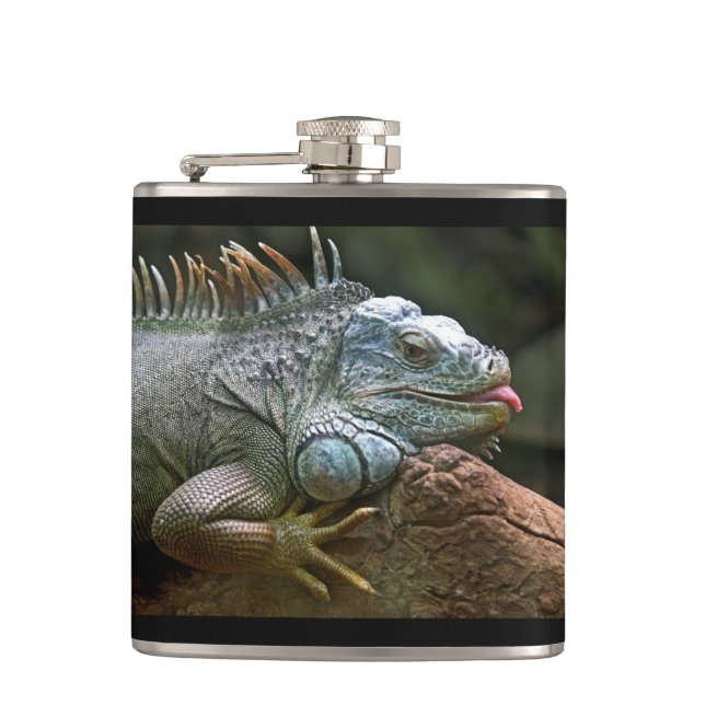 Iguana-Flasche Flachmann (Vorderseite)