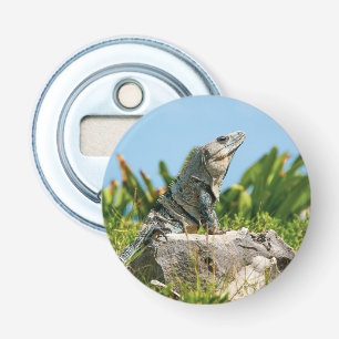 Iguana Flaschenöffner