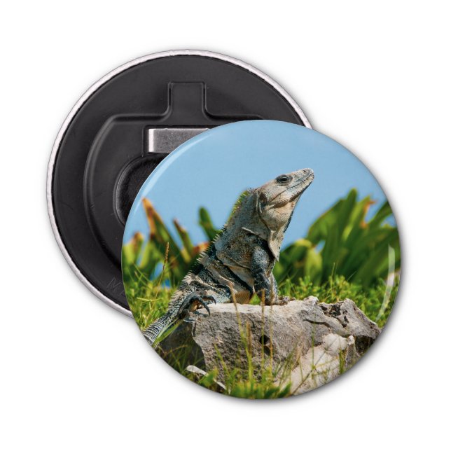 Iguana Flaschenöffner (Vorderseite)