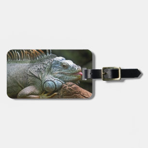 Iguana-Gepäckmarke Gepäckanhänger