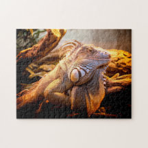 Iguana Head Nah-up, Jigsaw Puzzle