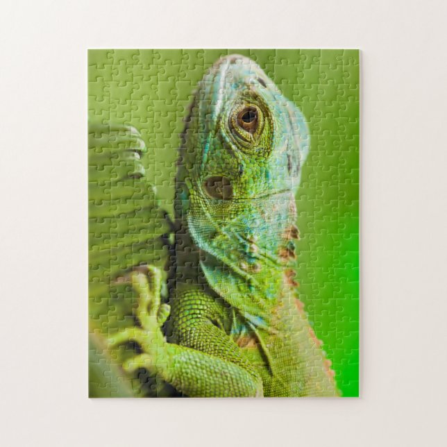 Iguana in der Wildnis Puzzle (Vertikal)