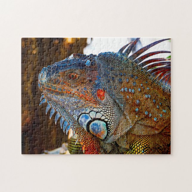 Iguana Lizard Florida. Jigsaw Puzzle (Horizontal)