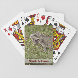 Iguana Lizzard Tier Natur personalisieren Spielkarten