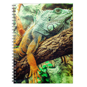 Iguana Notizblock