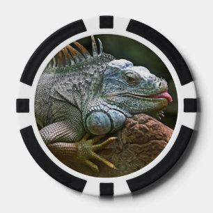 Iguana-Poker-Chips Pokerchips
