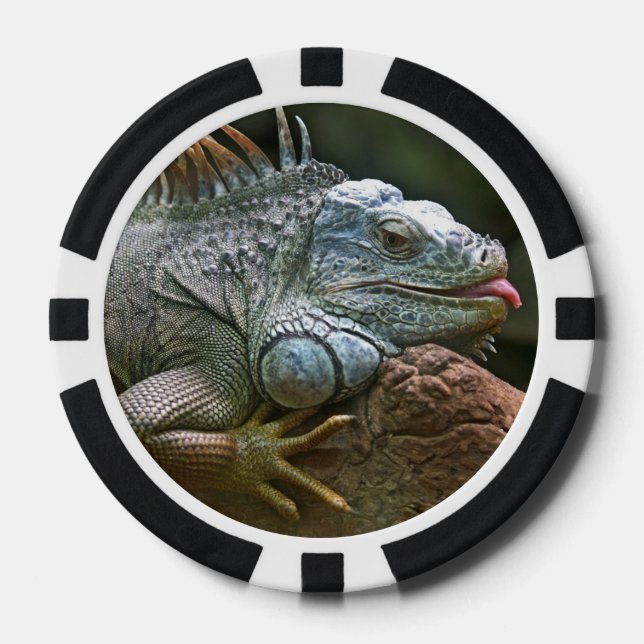 Iguana-Poker-Chips Pokerchips (Vorderseite)