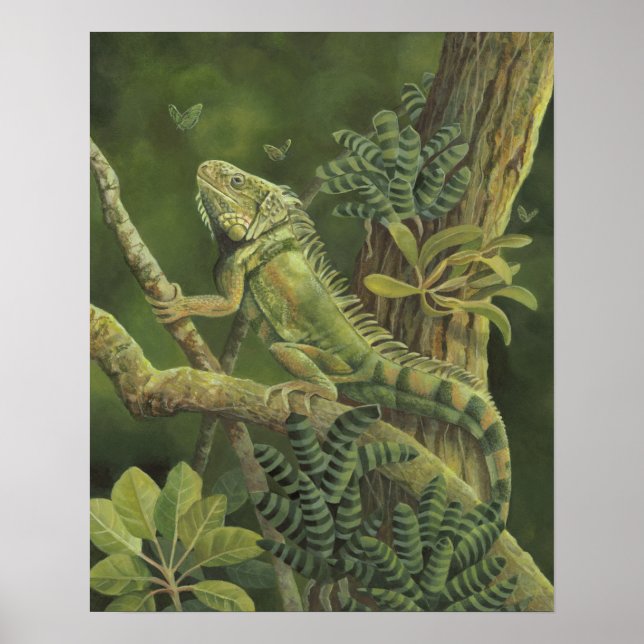 Iguana Poster (Vorne)