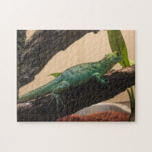 Iguana Puzzle
