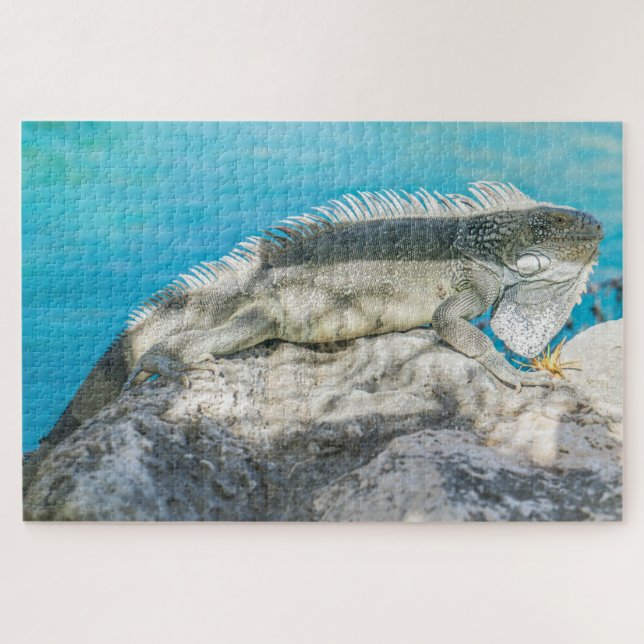 Iguana Sonnenbaden am Strand Rock Puzzle (Horizontal)
