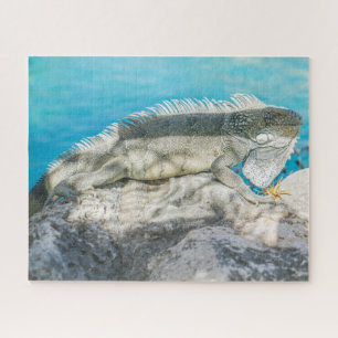 Iguana Sonnenbaden am Strand Rock Puzzle
