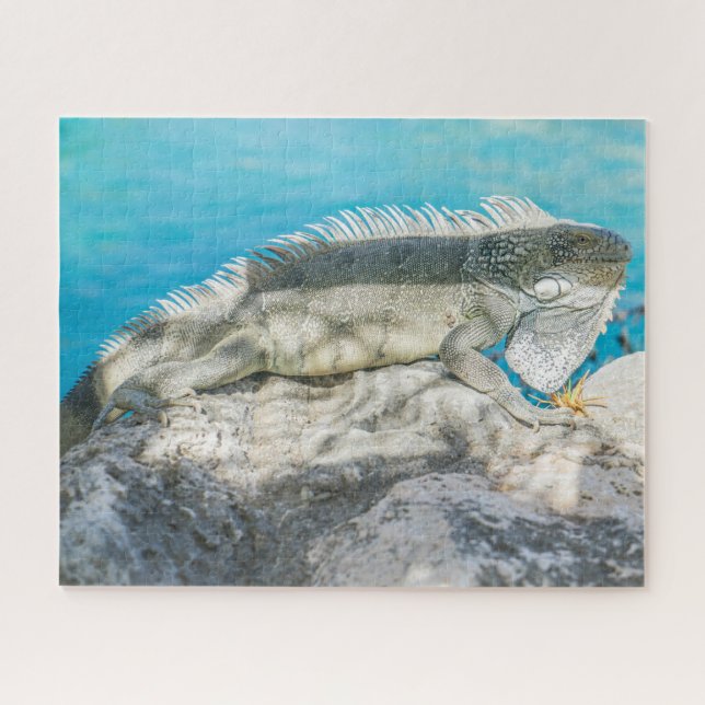 Iguana Sonnenbaden am Strand Rock Puzzle (Horizontal)