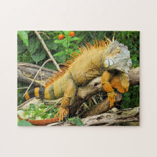 Iguana-Tier Puzzle