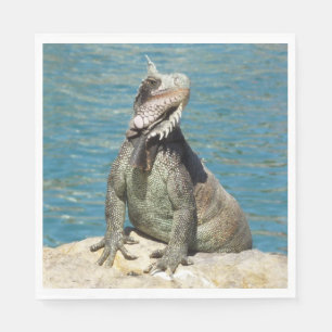 Iguana Tropical Wildlife Fotografy at St. Thomas Serviette