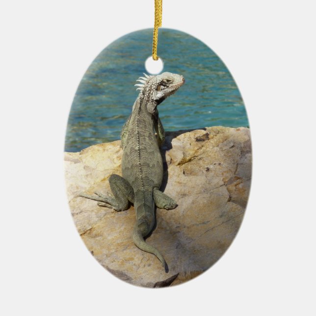 Iguana Tropical Wildlife Fotografy Keramik Ornament (Vorne)