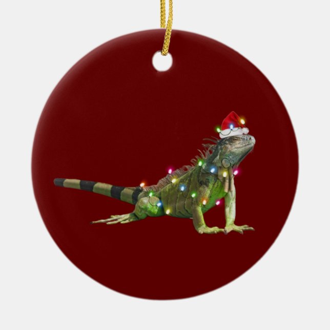 Iguanas mit Hutschuhwein Keramik Ornament (Vorne)