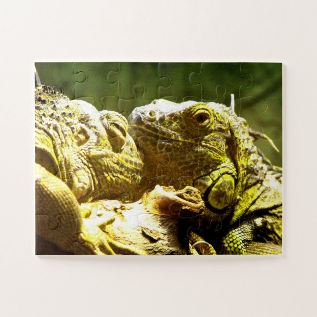 Iguanas Puzzle (Horizontal)