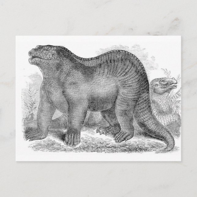Iguanodon Antiquitdruck Postkarte (Vorderseite)