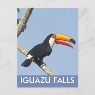 Iguazu Falls Toco Toucan Postcard Postkarte