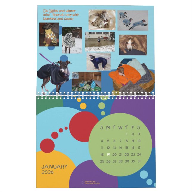 IGWhispers 2013 italienischer Windhund-Kalender Kalender (Jan 2026)