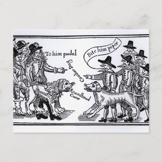 Ihm Pudel beißen. Postkarte (Vorderseite)