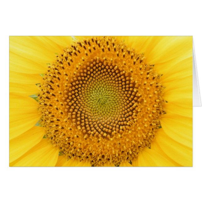 Ihnen ein Lächeln schicken (Vorderseite (Horizontal))