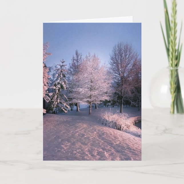 Ihnen Frieden wünschen dieses Weihnachten (Karte) (Vorderseite)