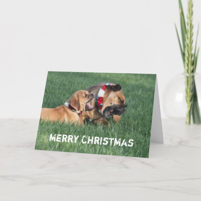 Ihnen frohen Weihnachten wünschen (Vorderseite)