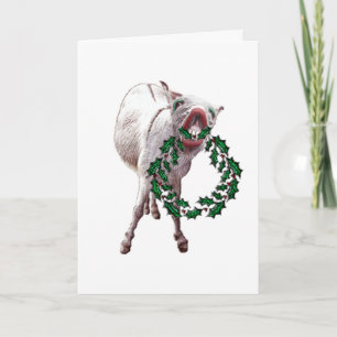 Ihnen "frohen Weihnachten " wünschen