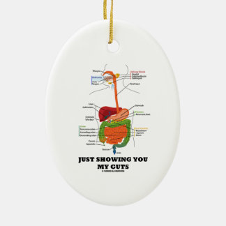 Ihnen meine Eingeweide (Verdauungssystem-Spaß) Keramikornament