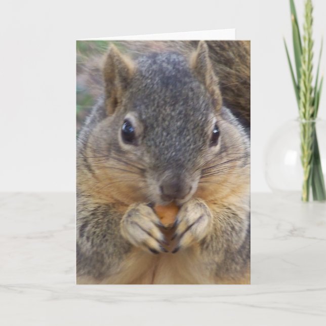 Ihnen werden jede mögliche Occasion_ Karte (Vorderseite)