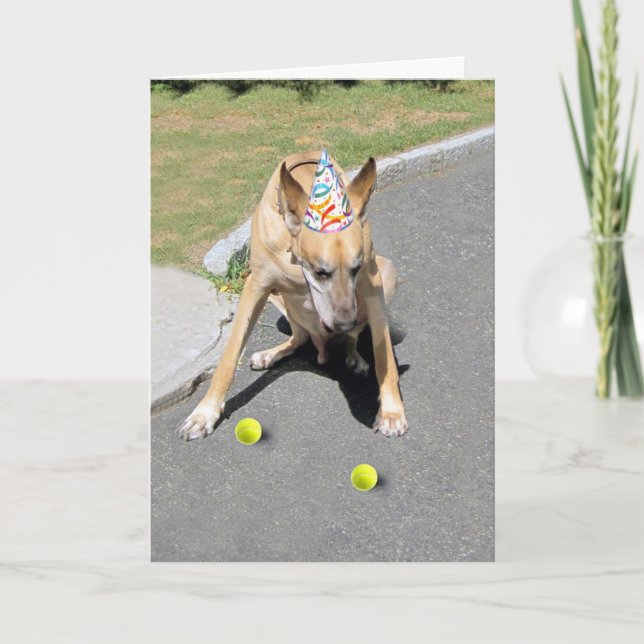 Ihr alter Hund Karte (Vorderseite)