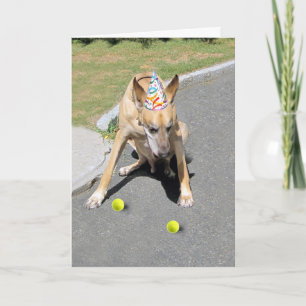 Ihr alter Hund Karte