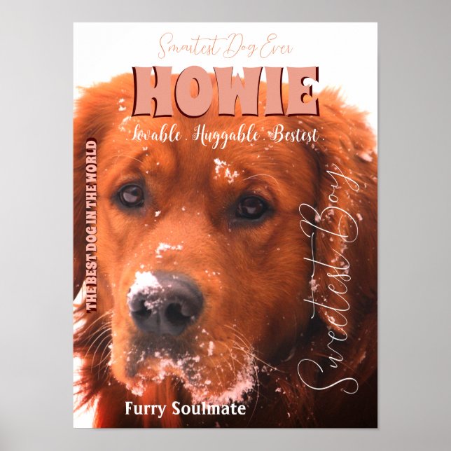 Ihr berühmtes Pet-Poster Poster (Vorne)