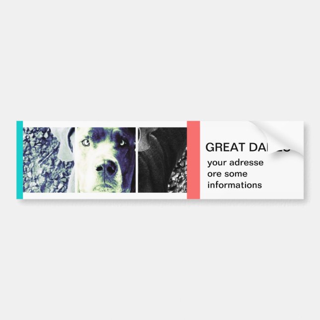 Ihr eigener Autoaufkleber (Vorne)