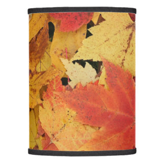 Ihr eigener Lampenschirm (nur)